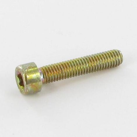 Tornillo ALPINA ALP2135060