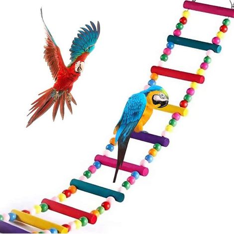 Escalera para pajaros de madera juguete pajaro Multicolor