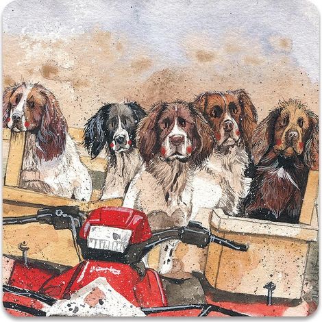 Magnet FM250 Spanielhunde