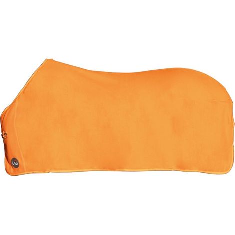 Coperta in pile a rapido assorbimento e imbottitura antifiaccatura sul garrese modello Alaska: 115 cm, verde/viola 5813 (1/5)
