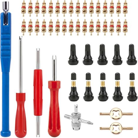 47 Pièces Kit Extracteur de Valve de Pneu, Outil d’Installation de Tige en Aluminium TR412 36 mm avec Noyaux, Capuchons et Clé 4 Voies pour Voiture, Moto et Vélo (1/5)