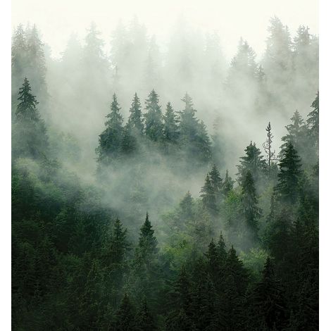 papier peint panoramique montagnes avec des arbres vert - Sanders & Sanders (1/3)
