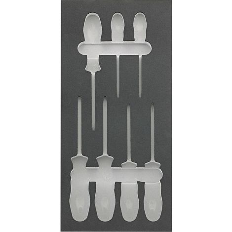 Fortis Werkzeugmodul 1/3 leer Schraubendreher Torx (1/3)