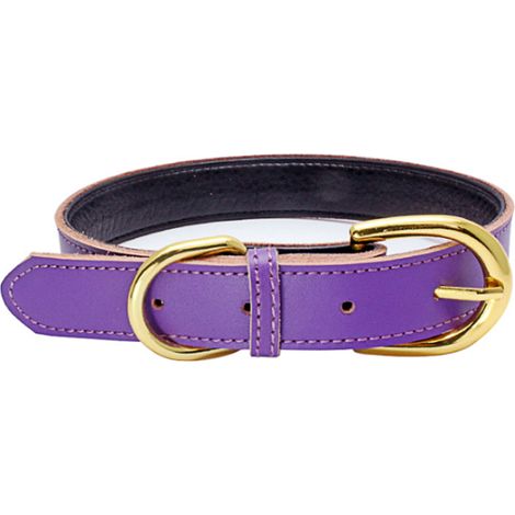 Ce collier pour chien en cuir roulé, avec sa corde ronde résistante, convient aux chiens de petite et moyenne taille.