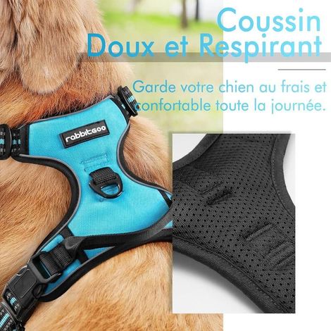 Rabbitgoo S light blue no-pull harness, adjustable and reflective, front attachment for small dogs (1/5)
