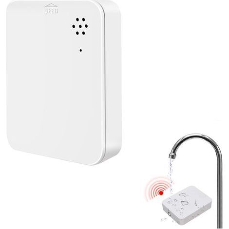 Alarme de fuite d'eau détecteur sans fil haute sensibilité 90 dB avec notification d'application à distance pour sous-sol cuisine salle de bain (1/5)