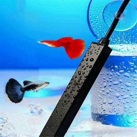 Mini chauffage d'aquarium 5W rechargeable par USB pour petits aquariums -- (1/5)