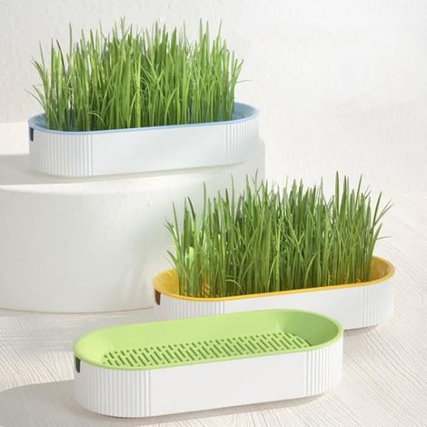 Bac À Germination - Polypropylène - Pour Herbe À Chat Et Plantes Hydroponiques - 21 X 9,2 X 4,5 Cm - 1 Pièce (1/4)