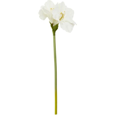 Premier Housewares Fiori Amarylilis Stem Ivory Flower - 72cm (1/5)