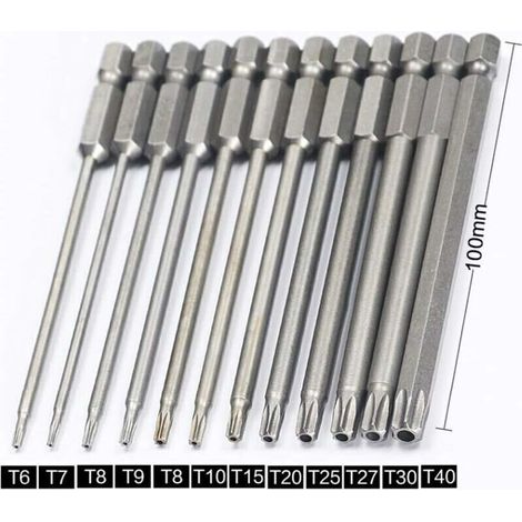 Set di 11 punte Torx lunghe per cacciaviti e trapani elettrici - Punte magnetiche - Attacco esagonale da 1/4" - Misure da T6 a T40 - Lunghezza 100 mm (1/4)