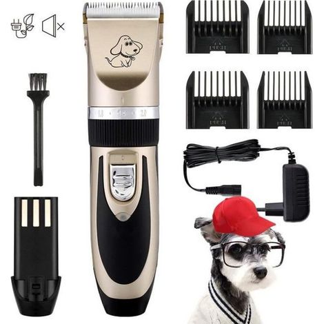 Tondeuse Chien Professionnelle Charge Rapide Tondeuse Chat Persan Silencieuse Tondeuse Animaux Rechargeable sans fil pour Poil Long (1/4)
