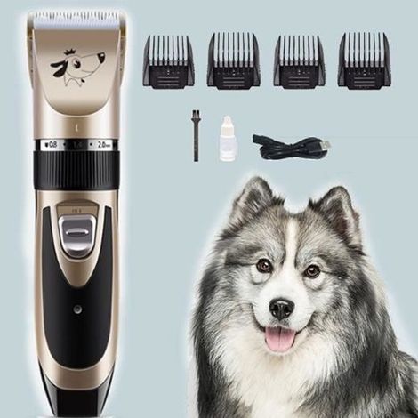 Tondeuse pour Chien Professionnelle Tondeuse Chien Poil Long Epais Electrique Sans Fil Kit Toilettage Chien Rasoir pour Chiens Chat (1/4)