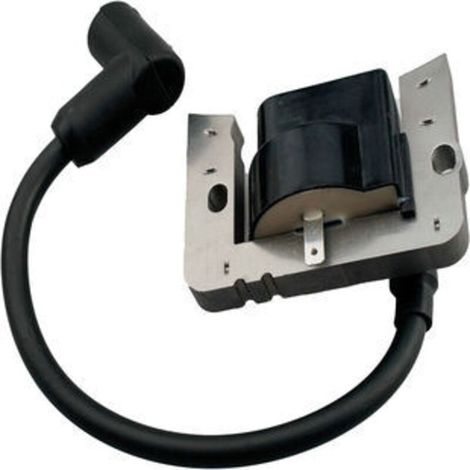 Bobine d'allumage compatible avec modèles 35135, 35135A et 35135B - Pièce de rechange pour système d'allumage moteur, fixation standard, lot de 1 pièce (1/5)