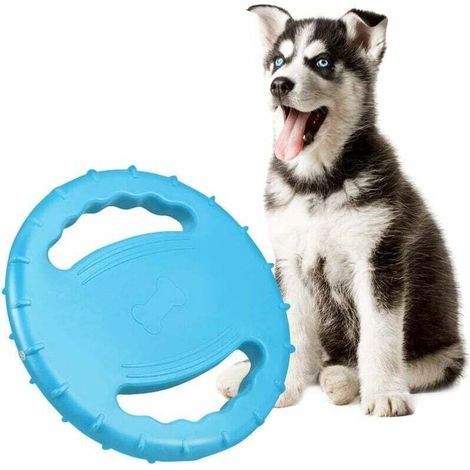 Frisbee et Disques de Lancement Interactifs pour Chiens Moyens et Grands – Jouet Sonore Idéal pour Jeux en Plein Air (1/5)