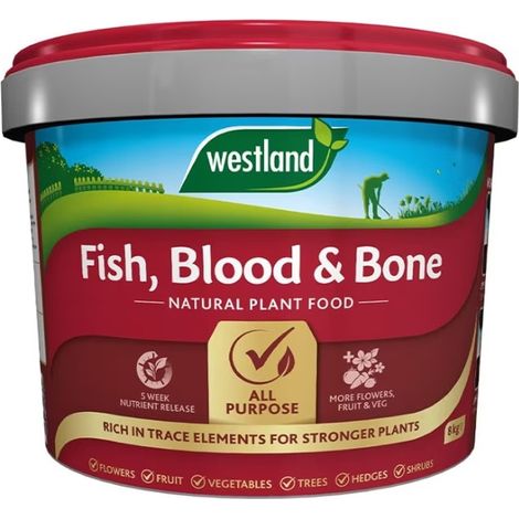 Westland Fish Blood & Bone All Purpose Natural Plant Food 8kg Tub Stronger Plant