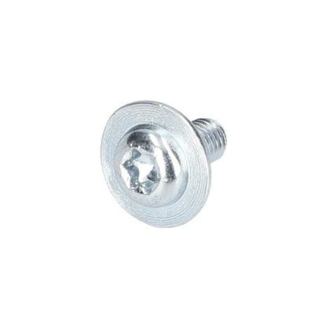 Vis a tete bombee torx pour Marteau perforateur BOSCH OUTILLAGES - 160343509H