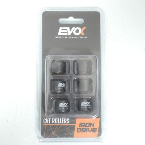 Variomatik-Rolle EVOK für Roller Suzuki 50 AH Address 16x13 6Grs (1/4)