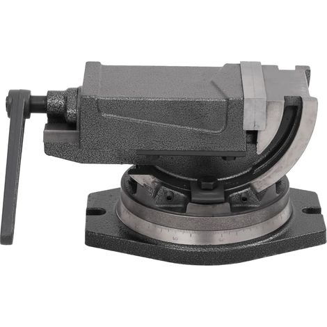 vidaXL Morsa Inclinabile a 2 Assi 100 mm