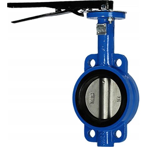 idmar WKI1a Vanne à papillon DN 65 mm fonte robuste