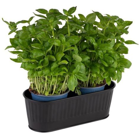 Panier À Couverts - Inox - Noir - 29,5 X 12 Cm - 2 Litres (1/4)