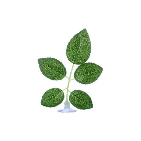 accessoires de feuilles pour la décoration de votre aquarium, créant un espace de repos léger et réaliste. (1/3)