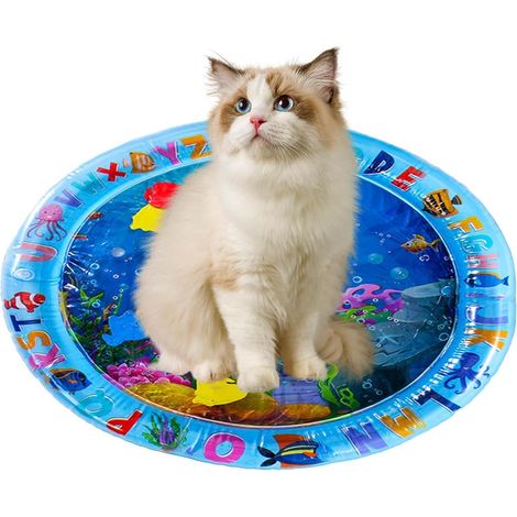 Matelas à eau pour chat et animal domestique - Tapis d'activité sensorielle (1/5)