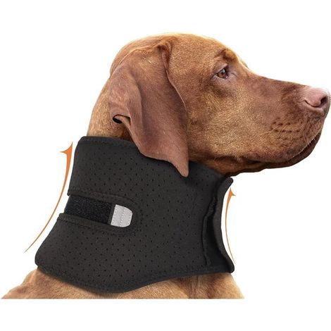 Collar ajustable para perros, collar para perros con función anti-lamido, collar protector para perros S (1/5)