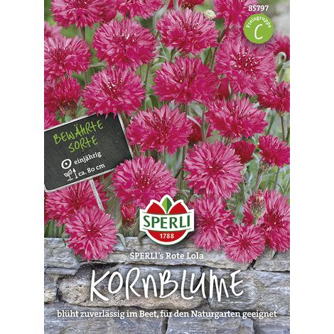 Sperli – Bleuet Sperli's Rote Lola – Graines de fleurs, fleurs rouges, hauteur env. 80 cm (1/2)
