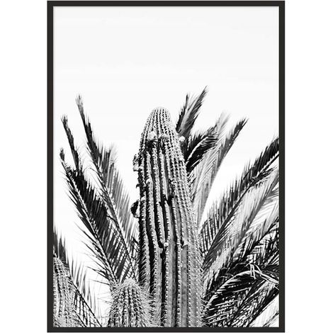 POSTER FOTOGRAFICO IN CORNICE 43x33 cm Cacti P686 (1/4)