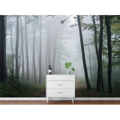 Vlies Fototapete Wald Nebel 150x105 cm, Tapeten, für Wohn und Schlafzimmer, Vliestapete Wandtapete Tapete 3D Effekt- inkl. Kleister - Landschaft Natur Bäume, WallArena (1/4)