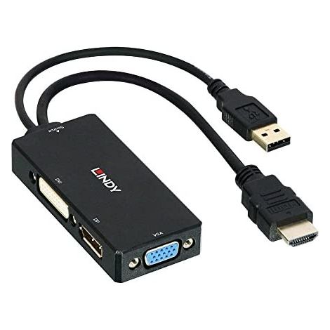 Lindy 38182 Video Kabel Schwarz 0,15 m 2160p