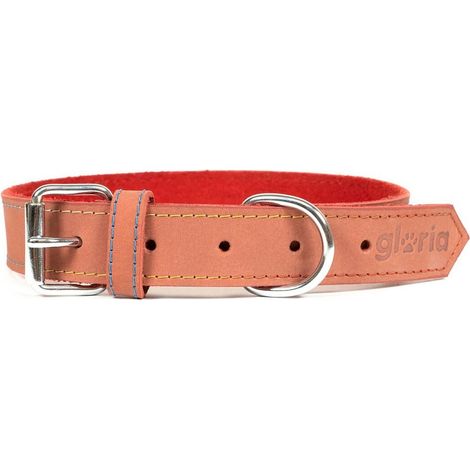 Collare per Cani Gloria Oasis Rosso (1,5 x 40 cm) (1/5)