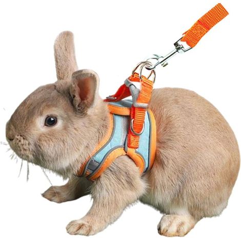Beyamis Harnais ajustable pour chat avec laisse réfléchissante - Gilet en coton respirant pour chatons, cochons d'Inde et chiens, tailles S et M, idéal pour les promenades quotidiennes (1/5)