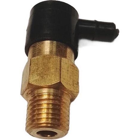Valvula Control Temperatura compatible con Dgpw3100H K