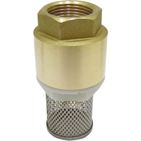 Rückschlagventil mit Saugkorb, Feder, 1/2" Zoll