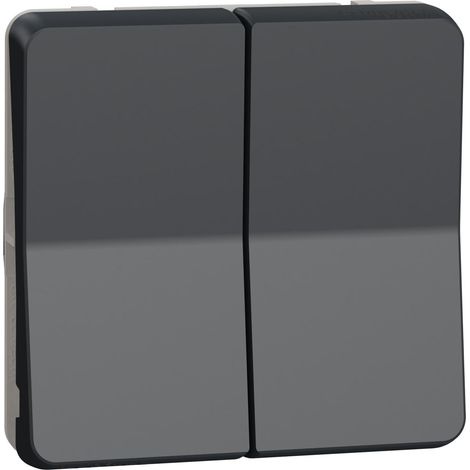 Schneider Electric – Poussoir lumineux étanche complet double bouton – IP55 pour intérieur/extérieur – Mécanisme à composer – Résistant à l'eau et aux produits chimiques