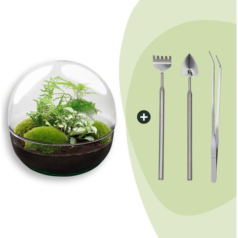 Kit Terrarium Fermé DIY Dôme en Verre XL Ø 28 cm avec 3 Plantes et Outils d'Entretien - PANGIVO (1/3)