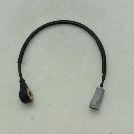 Der Klopfsensor 22060-Aa111 ist an die Subaru-Spezifikationen angepasst, erkennt Klopfen präzise, gewährleistet die Motorsicherheit und kann direkt ausgetauscht werden.