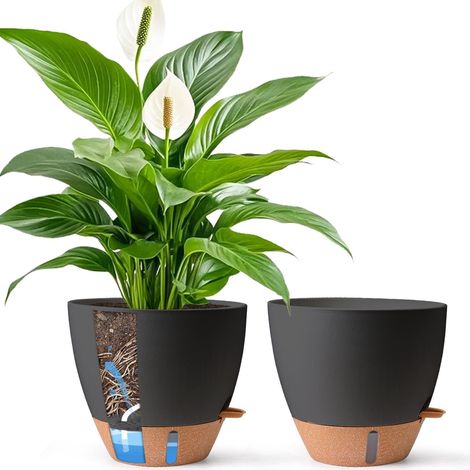 Selbstbewässernder Blumentopf 30cm Schwarz mit Wasserstandsanzeige (2er Set) (1/5)