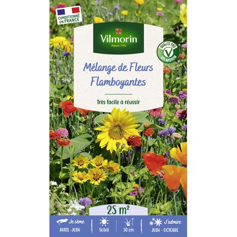 Vilmorin Fleurs Flamboyantes - 25 m² - Mélange de fleurs (1/2)