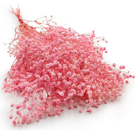 Gypsophila estabilizada - (Gypsophila) - Ramo Real - Rosa claro (1/5)