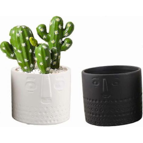 Ensemble de 2 pots de fleurs en céramique pour plantes grasses - motif visage - pour salon, bureau - blanc + noir (1/5)