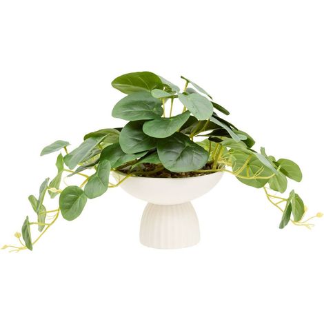 Pilea s foot crmq nippo h29 - Atmosphera créateur d'intérieur (1/4)