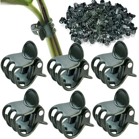 Lot de 100 clips pour plantes grimpantes, pour soutenir les tiges et les plantes grimpantes. (1/4)
