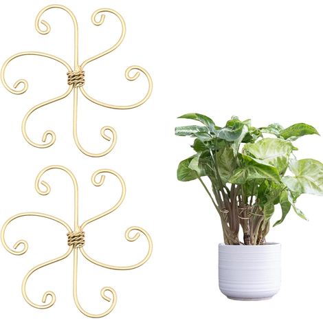 Set aus 2 robusten Pflanzenstammstützen aus Eisen für Monstera und Kletterpflanzen – Bambusclip-Set zur Stabilisierung und Unterstützung der Blätter