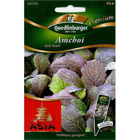 Quedlinburger Blattgemüse Amchoi Red Giant - Gemüsesamen (1/2)
