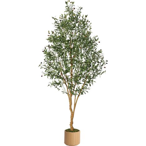 Olivier artificiel 244 cm – Tronc bois, feuilles soie & olives, pot blanc – Très grand format – Déco premium intérieur (1/5)