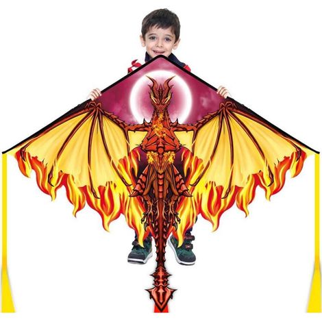 Großer Drachen für Kinder und Erwachsene, bunter Einleinerflugdrachen mit 100m (1/5)