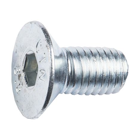 VITE TPS ESAG. INC. M6X20 PZ.8