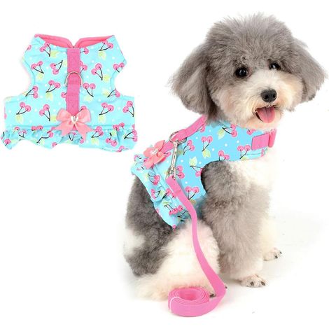 Ensemble harnais et laisse pour petit chien (taille S), harnais pour chaton en coton doux et non extensible avec joli nœud papillon (1/5)
